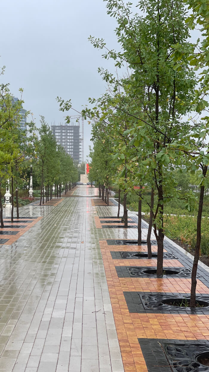 Приствольная решетка для дерева ZKING CRUST 1.2х1.2м Черная в Наро-Фоминске фото