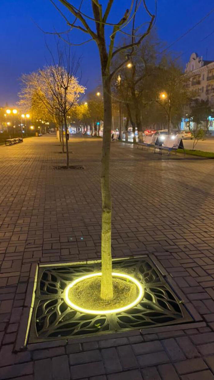 Приствольная решетка для дерева ZKING CRUST 1.2х1.2м Черная в Наро-Фоминске фото